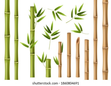 Baton Bambou の画像 写真素材 ベクター画像 Shutterstock