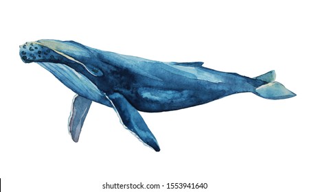 1,479 Blue whale 3d Images, Stock Photos & Vectors | Shutterstock