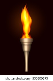 Torch Flame Isolated On Transparent Background Stock Vector (Royalty ...