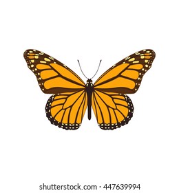 Realistic Butterfly Flat Style Butterfly Isolated Stock Illustration ...