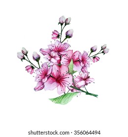 白い背景にリアルな桜 日本のピンクの桜の木の枝 水彩画 のイラスト素材