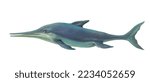 Realistic color scientific illustration of Ichthyosaur on white background