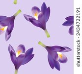 Realistic Crocus Flowers Seamless Pattern. Sring Floral Backgroound.