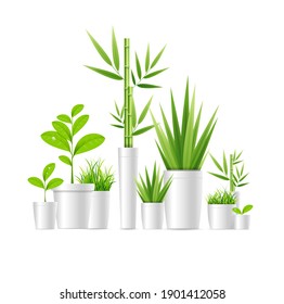 Realistic Detailed 3d Green Houseplant Pot Set Lively Foliage for Room, Hotel, Cafe or Store. illustration - Shutterstock ID 1901412058