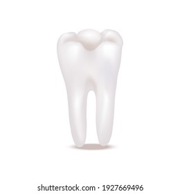 Realistic Detailed 3d White Healthy Teeth Closeup View Protection Enamel. Illustration Of Molar