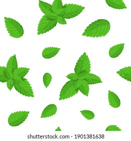 Realistic Detailed Fresh Green Mint Or Spearmint Leaves Seamless Pattern Background Aroma Spice Healthy Plant, Tea And Food. Illustration Of Peppermint Leaf