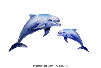 Realistic Dolphins On A White Background. Watercolor Illustration