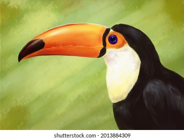 748 Toucan drawing realistic Images, Stock Photos & Vectors | Shutterstock