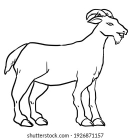 Realistic Goat Line Art Illustration Stock Illustration 1926871157 ...