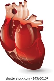 Realistic Heart Bitmap Copy