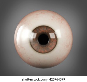 Realistic Human Eyeball Brown Iris Pupil Isolated On Dark Grey Background, 3D Rendering