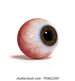 Realistic Human Eyeball With Brown Iris Isolated On White Background (3d Render)