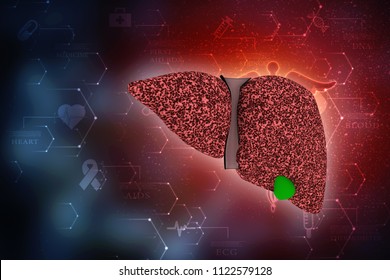 Realistic Human Liver 3d Illustration Stock Illustration 1122579128 ...