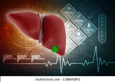 2,476 Liver function medical Images, Stock Photos & Vectors | Shutterstock