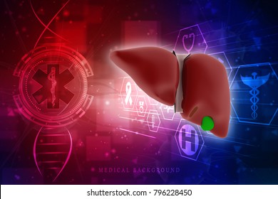 2,154 Human liver function Images, Stock Photos & Vectors | Shutterstock