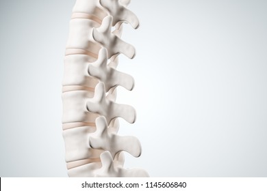 Realistic human spine illustration. Back view on the white background. 3d render. - Powered by Shutterstock