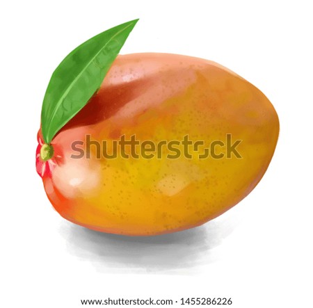 Realistic illsutration of a Mango