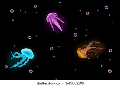 Realistic Jellyfish Background Illustration Isolated On Black. Bright Contrast Colors, Semi Opaque Body, Colorful Bubbles Around It.