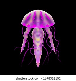 Realistic Jellyfish Illustration Isolated On Black. Bright Contrast Colors, Semi Opaque Body. 