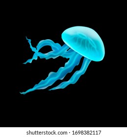 Realistic Jellyfish Illustration Isolated On Black. Bright Contrast Colors, Semi Opaque Body. 