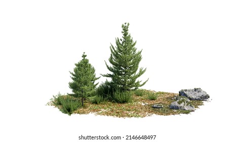 Realistic Pine Tree With Stones Isolated On White. 3d Render.