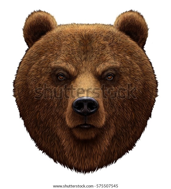 Realistic Portrait Bear Illustration On White Stock Illustration