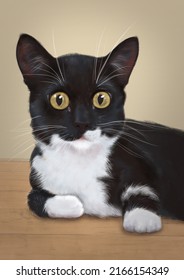 Realistic Portrait Of Black-white Open-eyed Cat, Caricature Portrait Of A Cat