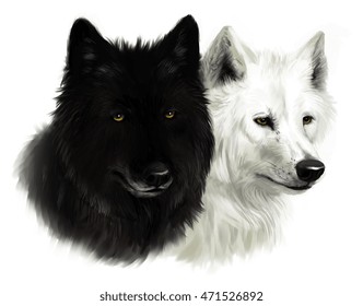 Realistic portrait of two wolves, black and white. 