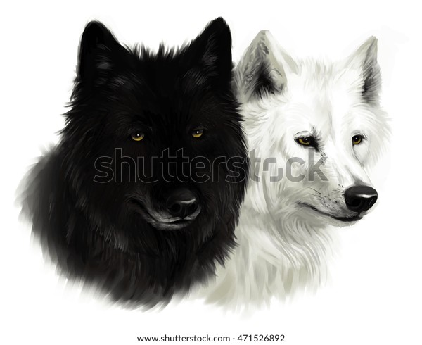 Realistic Portrait Two Wolves Black White Stock Illustration 471526892 ...