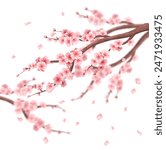 Realistic sakura tree composition background with a branch