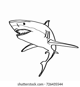 Shark Draw Images Stock Photos Vectors Shutterstock