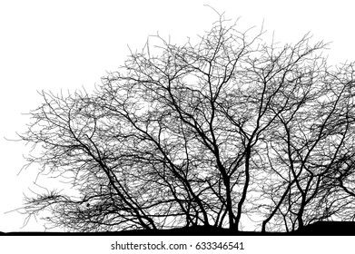 Realistic Tree Silhouette Illustration Stock Illustration 633346541 ...