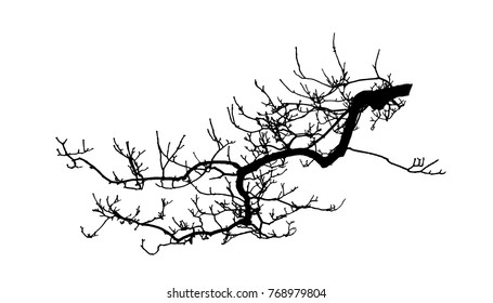 Realistic Tree Silhouette Illustration Stock Illustration 768979804 ...