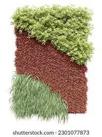 Realistic vertical garden. 3d rendering of isolated objects.