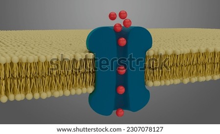 Receptor on a cell membrane with neurotransmitters passing through, 3D render Stock photo © 