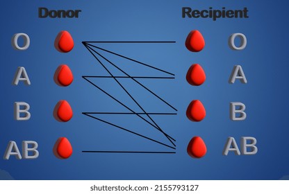 504 Blood compatibility Images, Stock Photos & Vectors | Shutterstock