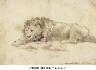 Reclining Lion By Rembrandt Van Rijn Stock Illustration Shutterstock