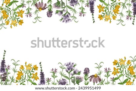 A rectangular border along the top and bottom of flowers and meadow grasses of lungwort, echinacea, heather, hypericaceae, oregano, hand-painted in watercolors. For printing on books, textiles, design