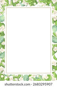 Rectangular floral frame of eucalyptus and jasmine branchlets. White blossoms and green leaves. Garden clipart. Hand-drawn watercolor illustration for greeting cards design, invitation, poster.