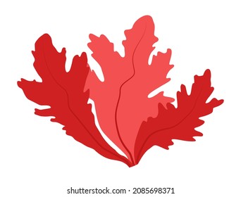 Red Algae Bush Isolated For Logo,icon And Design. Seaweed Logo