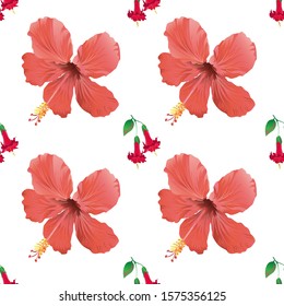 Hibiscus Background Vectorillustration Stock Vector (Royalty Free ...