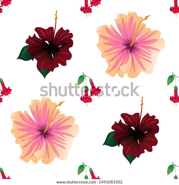 Red Angel Trumpet Pink Hibiscus Red Stock Illustration 1492083302 ...