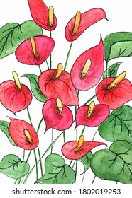 Red anthuriums - tropical flowers watercolor illustration