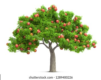 Red Apple Tree Isolated 3D Illustration