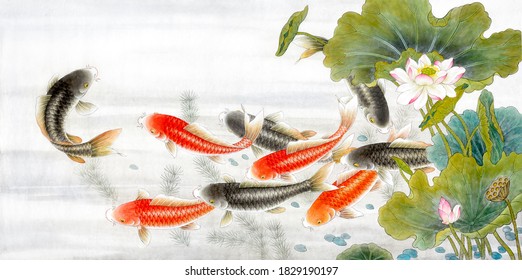 Red and black Koi fish of japanese/chinese ink and wash painting.Traditional asian culture.