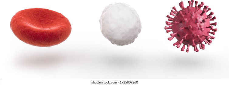 red blood cell, white blood cell and coronavirus isolated on white background, 3d illustration
