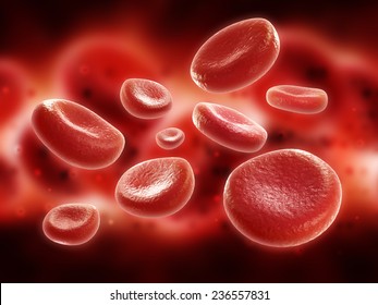 Red Blood Cells