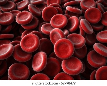 Red Blood Cells