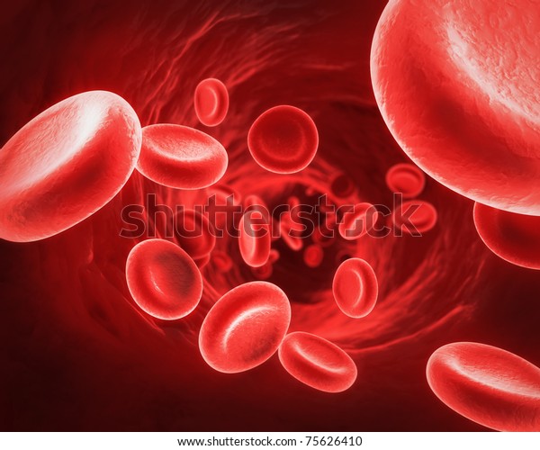 赤血球 のイラスト素材