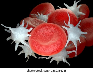 Red blood cells and activated platelets or thrombocytes. 3D illustration